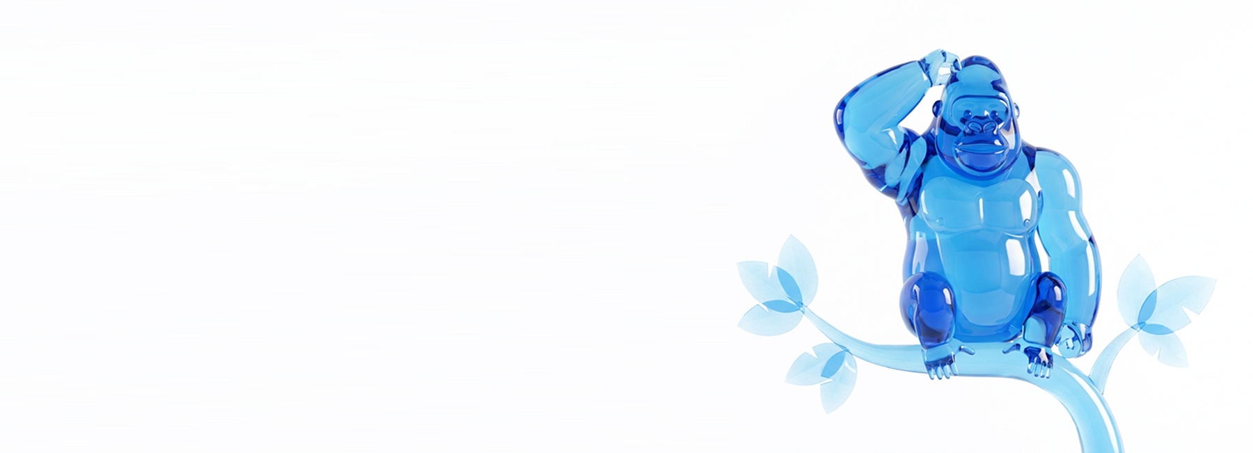 banner.jpg